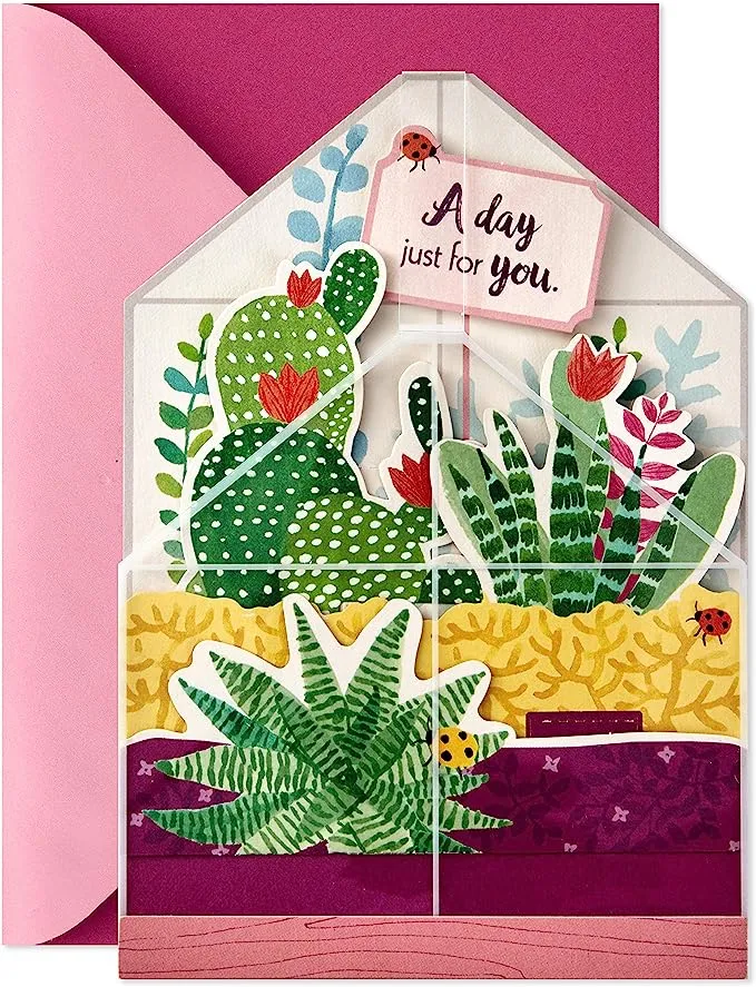 Hallmark Paper Wonder Displayable Pop Up Birthday Card or Mother's Day Card (Succulents),5 X 7. 2 inches,599RZW1015