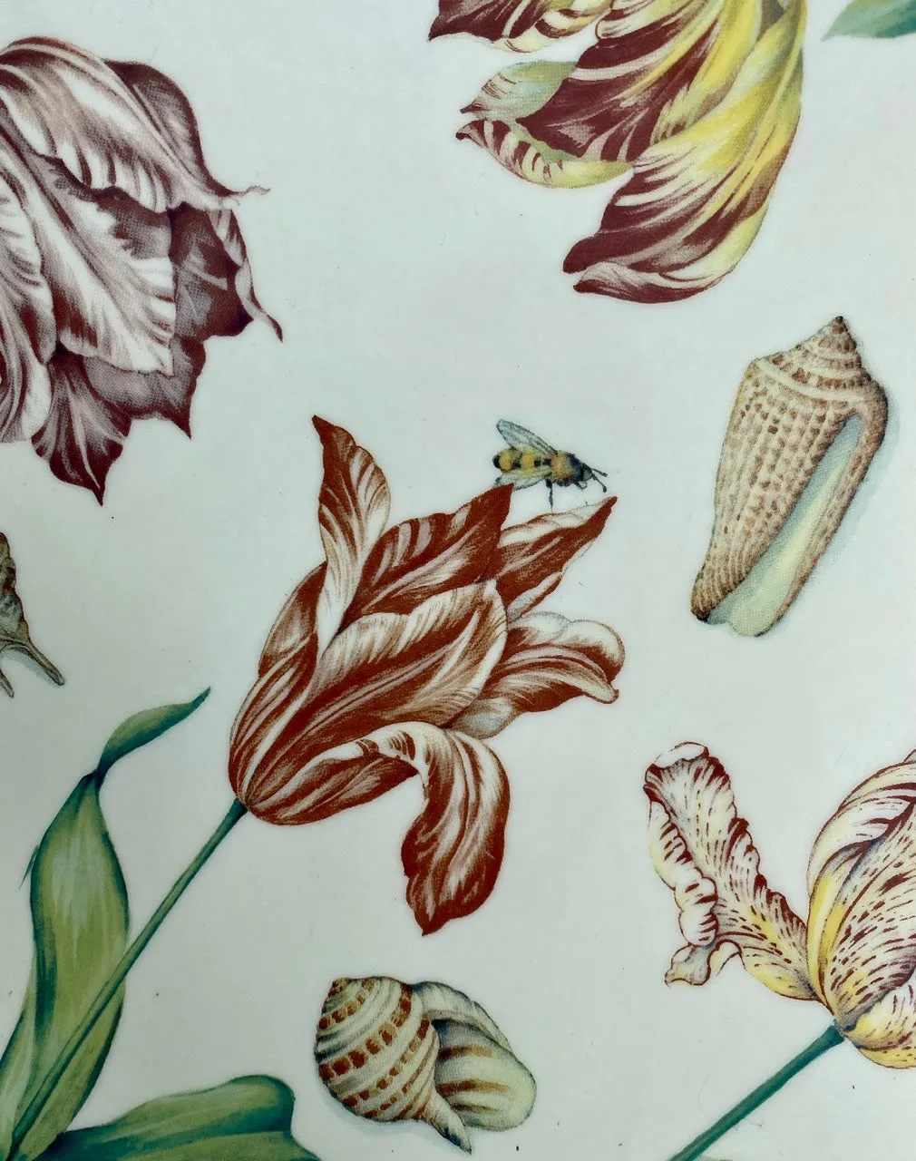 Italian Florentine Wood Tray Painted Parrot Tulips Ladybug Butterfly Shells