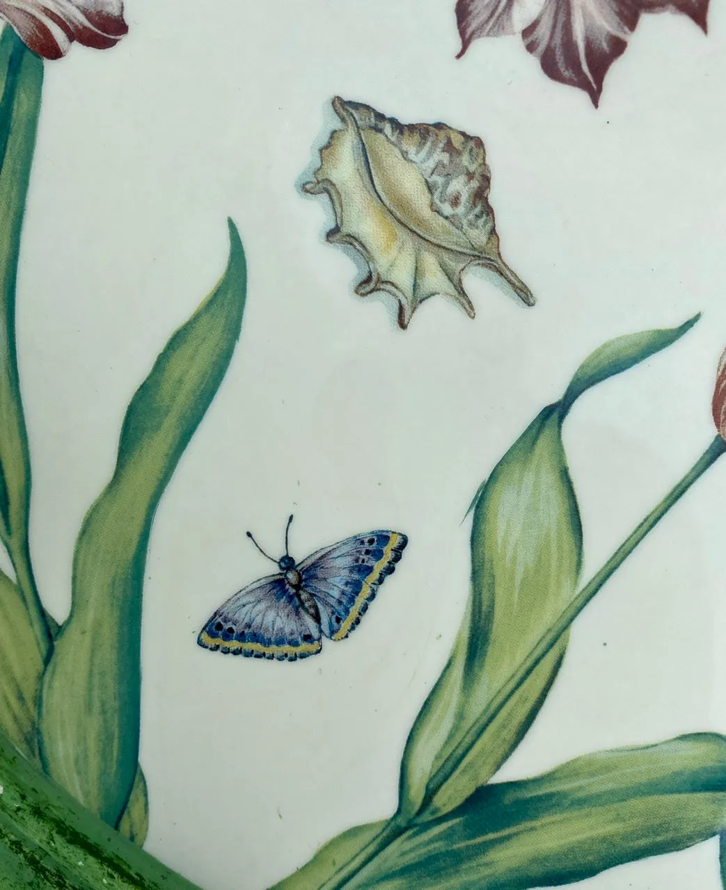 Italian Florentine Wood Tray Painted Parrot Tulips Ladybug Butterfly Shells