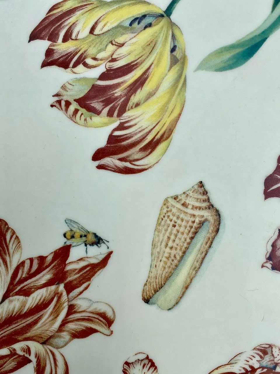 Italian Florentine Wood Tray Painted Parrot Tulips Ladybug Butterfly Shells